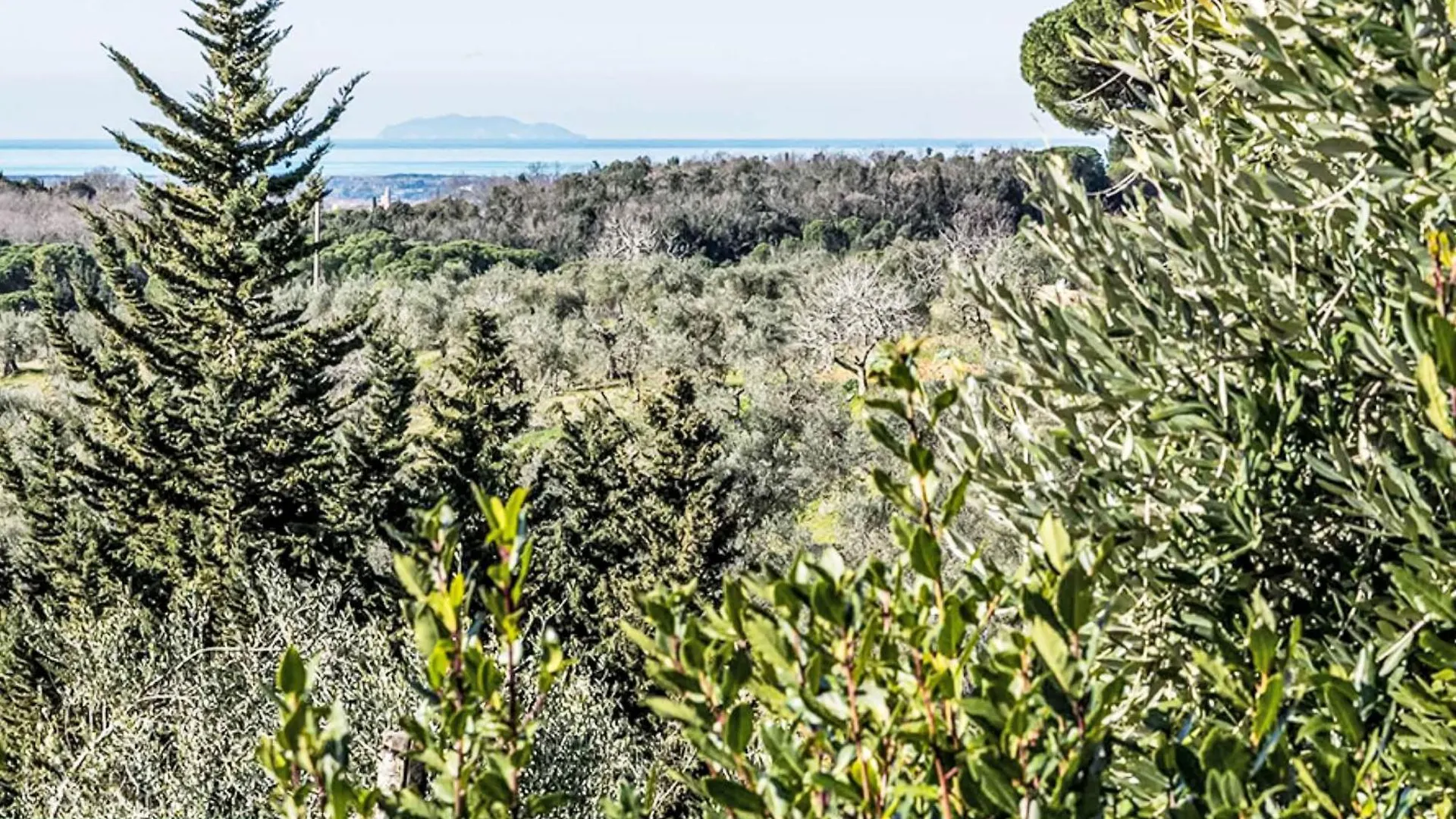 Holiday Home Tramontina By Interhome Casale Marittimo 0*,